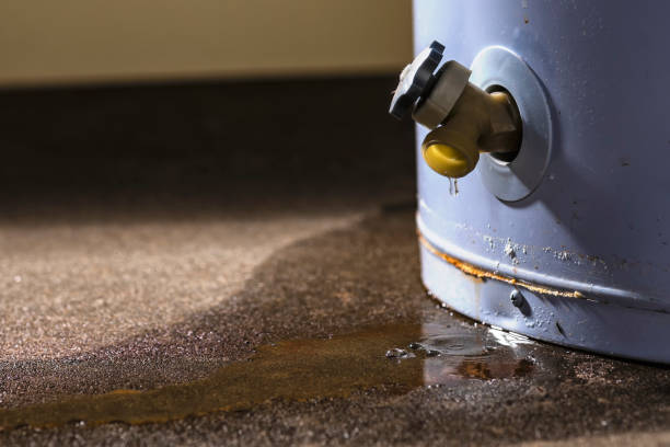 Best Sewage cleanup and water damage restoration  in Preston, ID