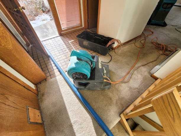 Carpet water damage restoration in ID