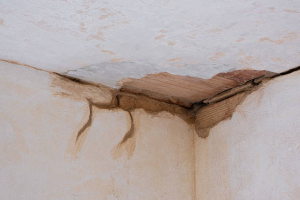 Best Water damage restoration near me  in Preston, ID
