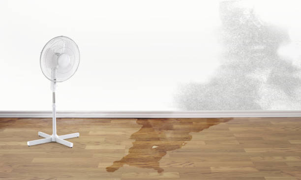 Reliable ID Water damage restoration Solutions