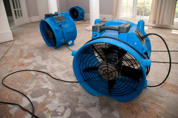 Best Water damage restoration insurance claims  in Preston, ID