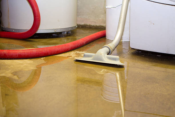 Best Water damage cleanup near me  in Preston, ID