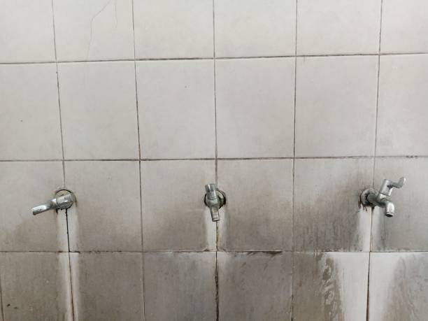 Best Water damage contractors near me  in Preston, ID