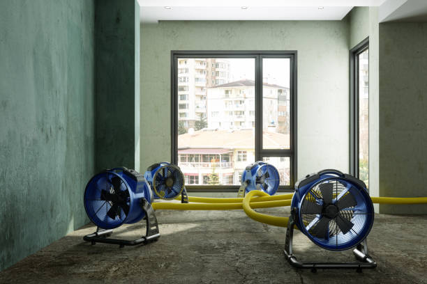 Best Carpet water damage restoration  in Preston, ID