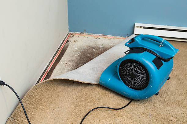 Best Flood damage cleanup  in Preston, ID